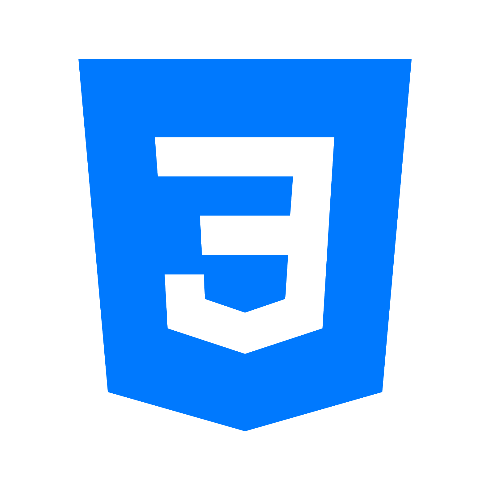 CSS